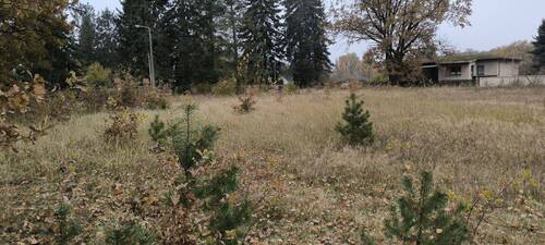 Bild 1 - Großzügiges Baugrundstück in Heidesee: Ihr Traum vom naturnahen Wohnen nahe Berlin