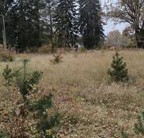Großzügiges Baugrundstück in Heidesee: Ihr Traum vom naturnahen Wohnen nahe Berlin - Heidesee OT Wolzig