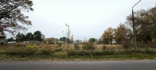 Bild 2 - Grundstück zum Kaufen in Heidesee OT Wolzig