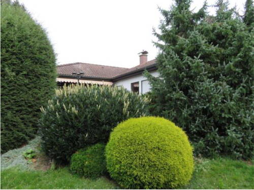 Bild 3 - 5 Zimmer Einfamilienhaus in Nürnberg