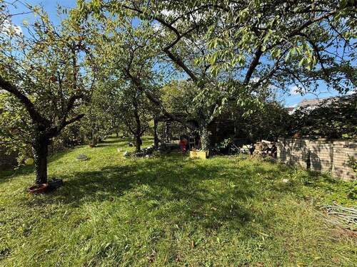 Garten - Charmantes Einfamilienhaus mit gepflegtem Obstgarten in 66346 Köllerbach zu verkaufen