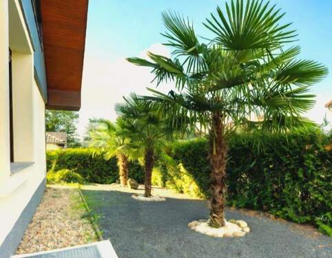 Seiten Eingang Haus - 