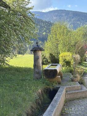Brunnen vor dem Haus - 