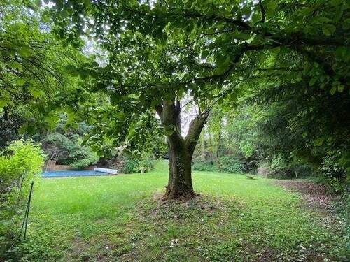 Garten Blick zum Pool - 