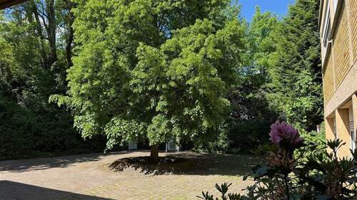 Einfahrt - Mehrfamilienhaus, Wohnhaus mit 481,00 m&sup2; in Saarbrücken zum Kaufen