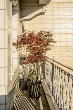 Balkon - 