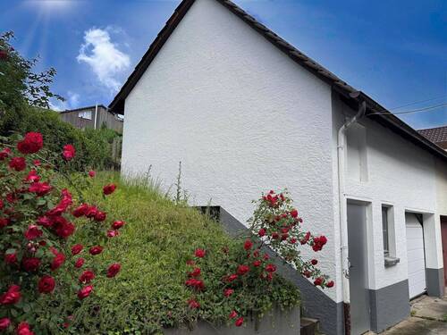 Garage und Treppenaufgang zum Garten - 6 Zimmer Doppelhaushälfte in Bretten