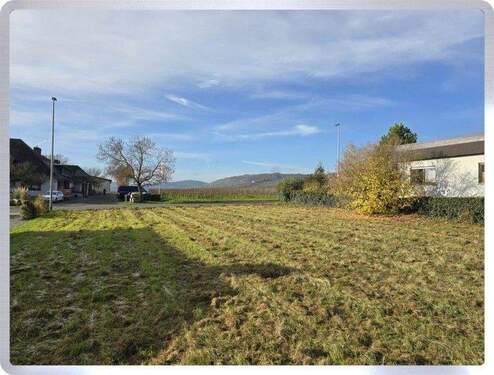 Ausblick - Grundstück in Geisenheim zum Kaufen