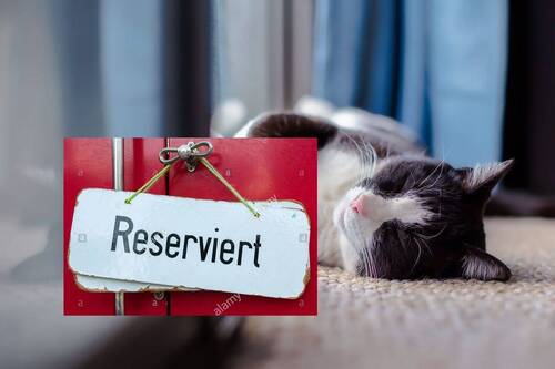 cat-19030288 - Attraktive 2, 3, 4 oder 5 Raum Wohnungen in ruhiger Ländlicher Lage