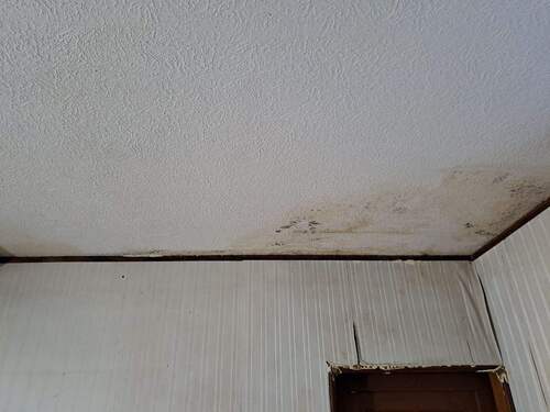 EG WZ Wasserschaden.jpg - 