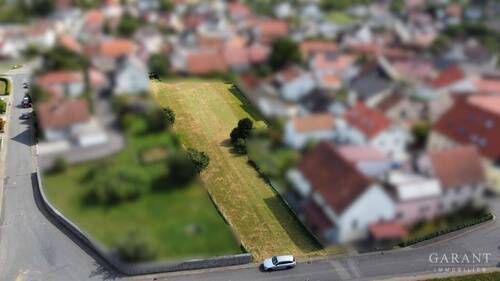 IMG 1573 - 5 Zimmer Einfamilienhaus zum Kaufen in Großrinderfeld