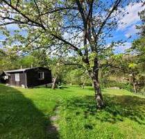 *Bildschöner Bauplatz am Michelsberg*- sehr ruhig, sonnig und im Grünen - Hersbruck