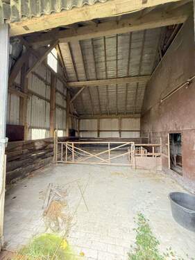 Stall linke Hälfte - 