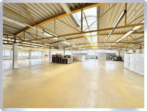 Halle - Halle in Oestrich-Winkel zur Miete