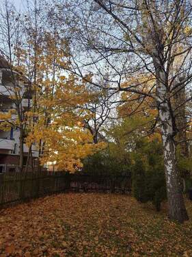 IMG-20251222-WA0007.jpg - 