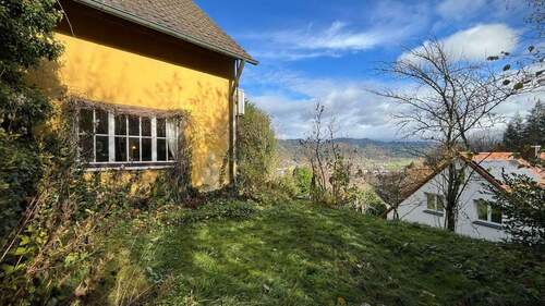 Ebene Rasenfläche auf dem unteren Teil des Grundstücks - 