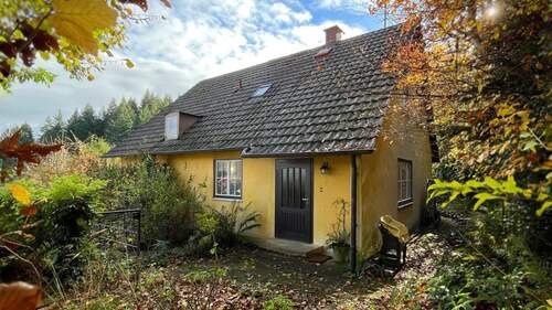 Das Einfamilienhaus fügt sich in naturidyllischer Höhenlage in den Hang ein - 