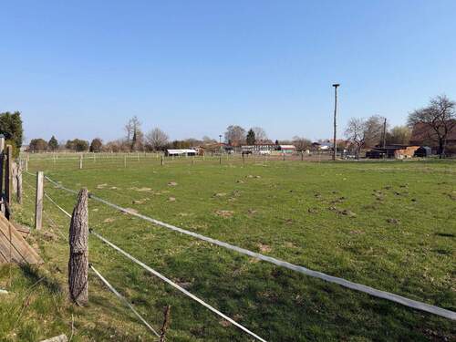 Pferdekoppel - Grundstück in Rehburg-Loccum Rehburg