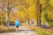 Umgebung Ros5 (6) - 