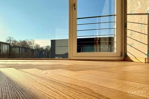 Blick - 