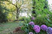 Garten - Grundstück in Velgast - Idyllische Lage mit Obstbäumen
