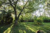 Garten - Grundstück in Velgast