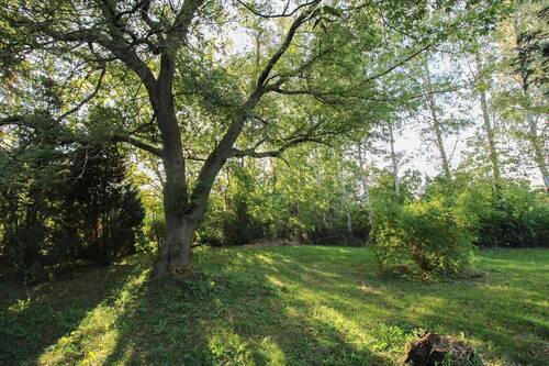 Garten - Grundstück in Velgast