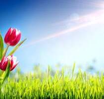 Panoramablick & Privatsphäre in Freyung-Ahornöd ca. 7.700 m²