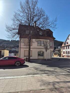 20260227_125026.jpg - 