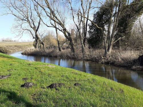 Der Ochsengraben am Grundstück.jpg - 