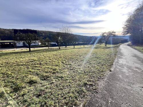 Blick in die Nachbarschaft - Einfamilienhaus mit 237,00 m&sup2; in Wiesenttal zum Kaufen