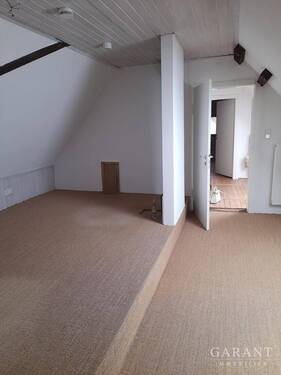 Zimmer DG - 