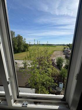 Blick DG - 