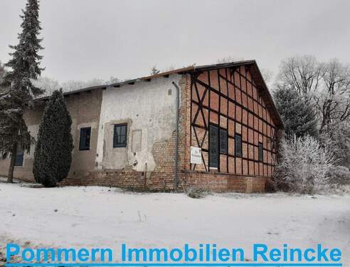 Südecke im Winter.jpg - 