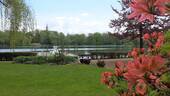 Schwanenteich Zwickau - 