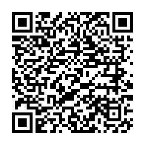 QR-Code - 