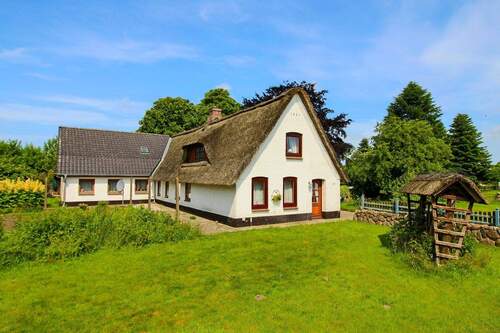 Vorgarten - 4 Zimmer Einfamilienhaus zum Kaufen in Treia