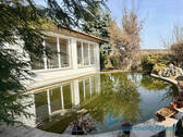 Teich - 