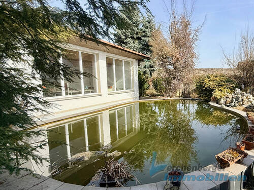 Teich - 