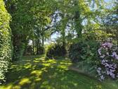 Gartenimpressionen - 