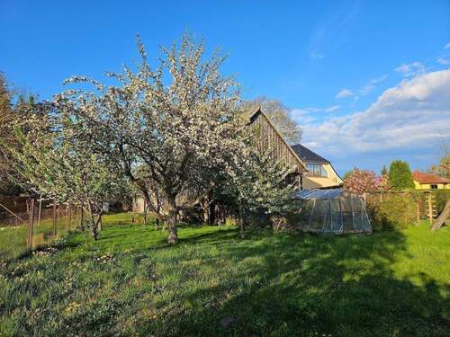 Auf dem Grundstück.jpg - 