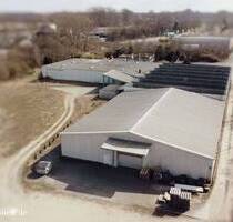 Sommer im Gewerbepark Uelzen – Produktions-Lagerhalle, Verwaltungsgebäude & Wohnhaus