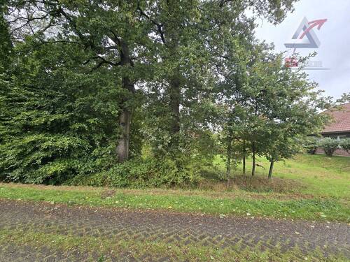 mit Baumbestand - Grundstück in Wiesmoor Zwischenbergen