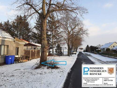 Straße am Grundstück.jpg - 4 Zimmer Mehrfamilienhaus, Wohnhaus zum Kaufen in Krien