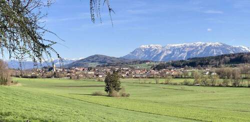 Blick auf Teisendorf - 