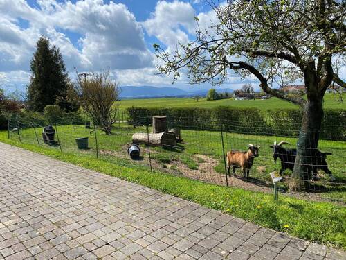 IMG 3863 - 8 Zimmer Mehrfamilienhaus, Wohnhaus zum Kaufen in Kirchanschöring