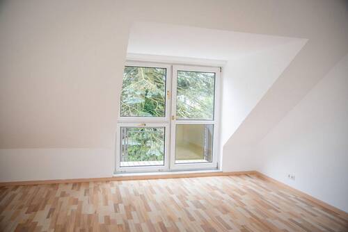 Bild 11 - 