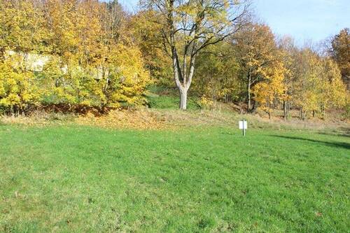 Bild V.JPG - Grundstück zum Kaufen in Wald-Michelbach