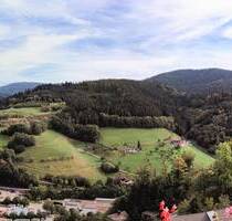 Großes Haus mit 17 1 Zi Apartments, Wohnungen, Schwimmbad - Bad Peterstal-Griesbach