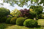 Garten - 